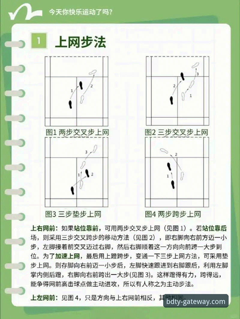 快速上手半岛体育官方网的5个关键步骤——新手必看指南